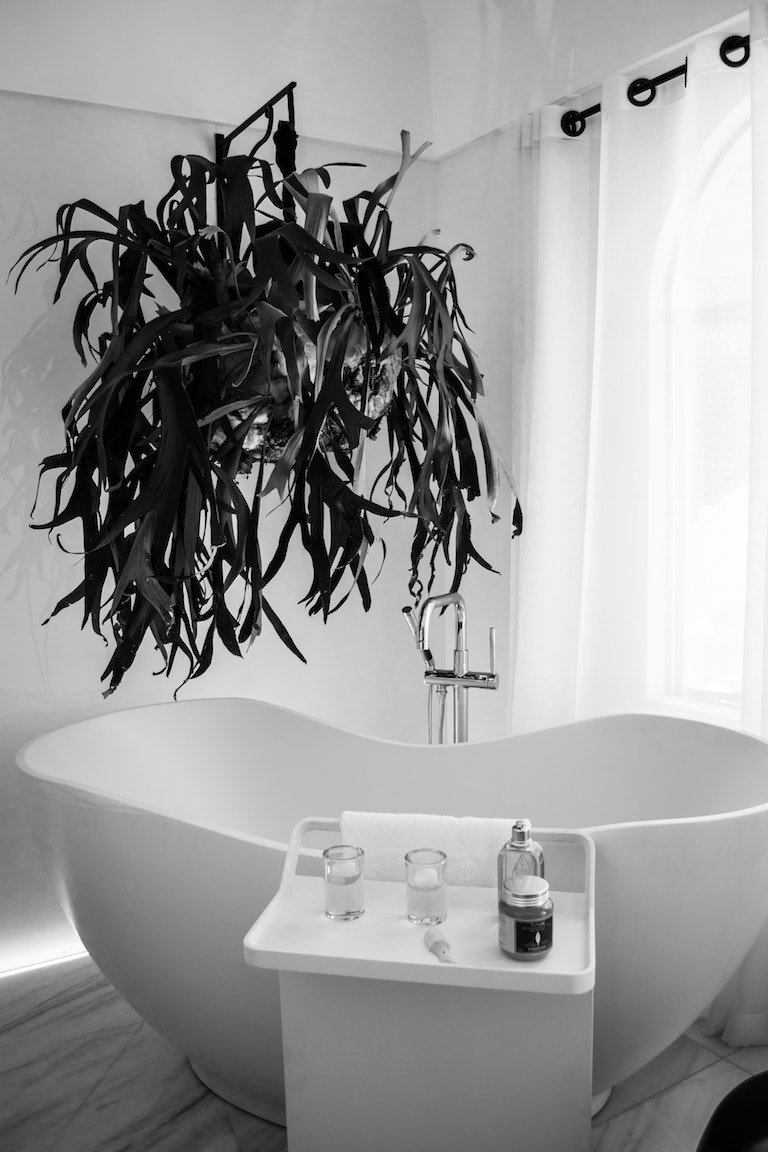 baños con plantas